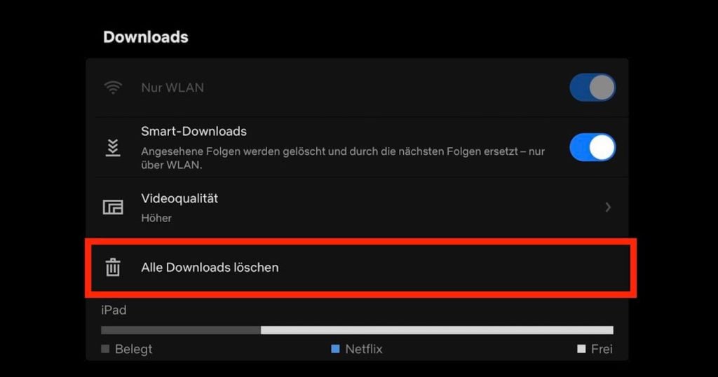 Netflix-App iPad Pro Downloads löschen