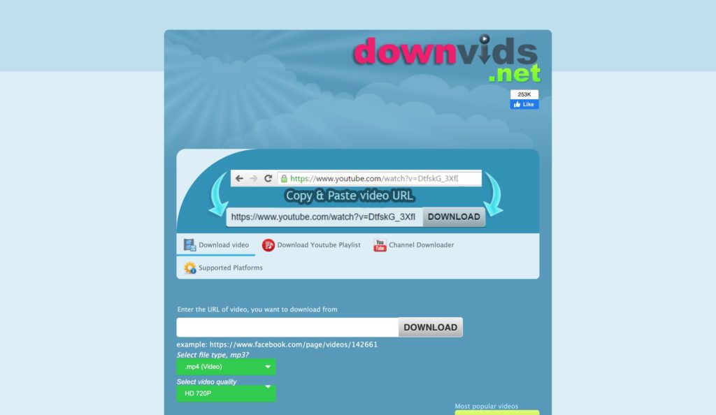 Downvids.net Online-Downloader