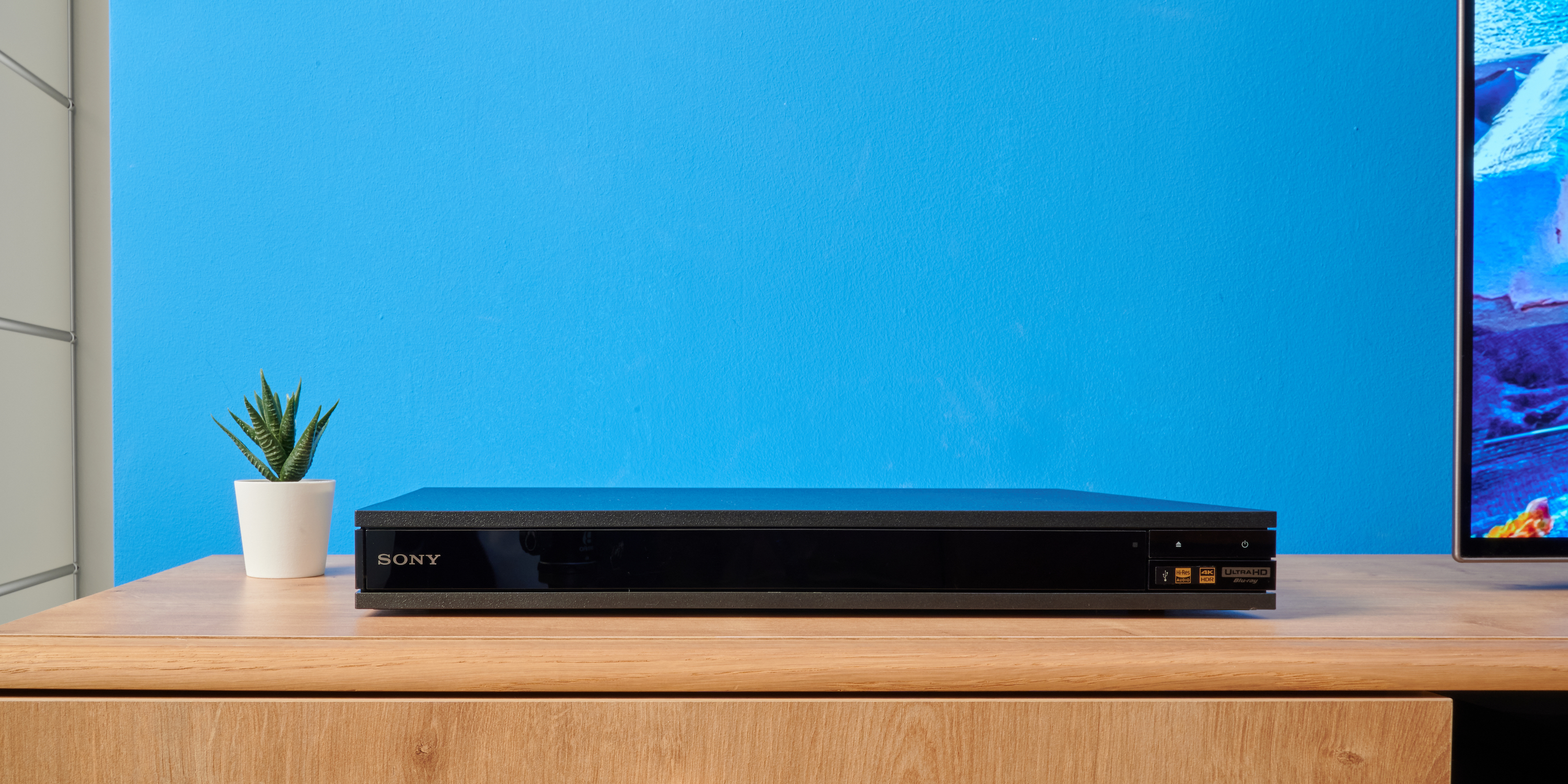 Sony UBP-X800M2 für und Filme Musik Top im Blu-ray-Player Test