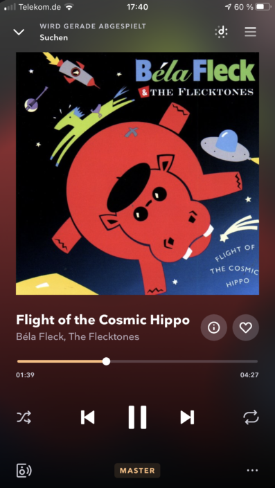 Chord Mojo 2 Flying Hippo