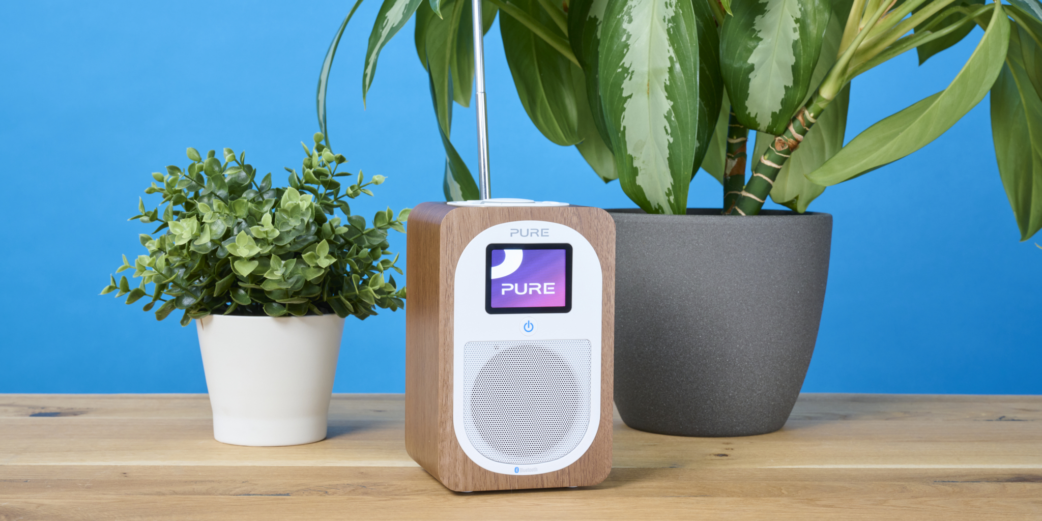 Pure Evoke H3 im Test Elegantes DABRadio mit gutem Klang und