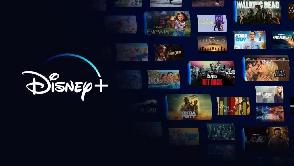 Disney+ hofft durch Vorgehen gegen das Konto-Sharing neue Kund:innen zu gewinnen.