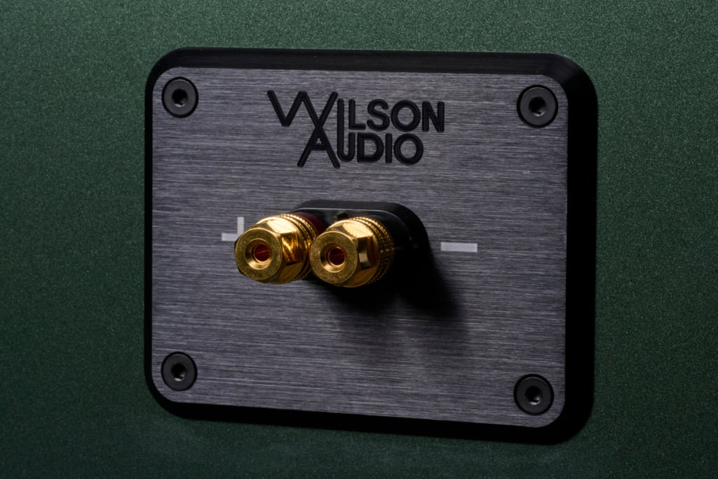 Wilson Audio Sasha V Polklemmen