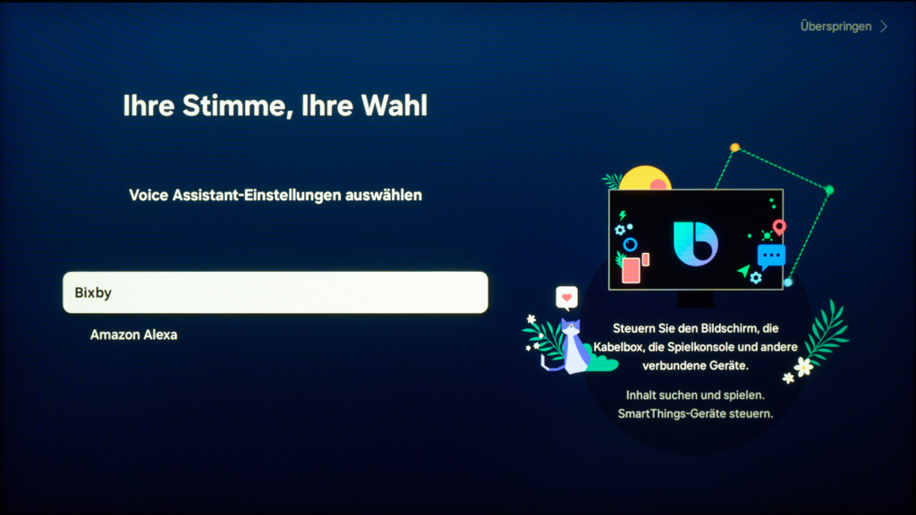 Auswahl Voice Assistant