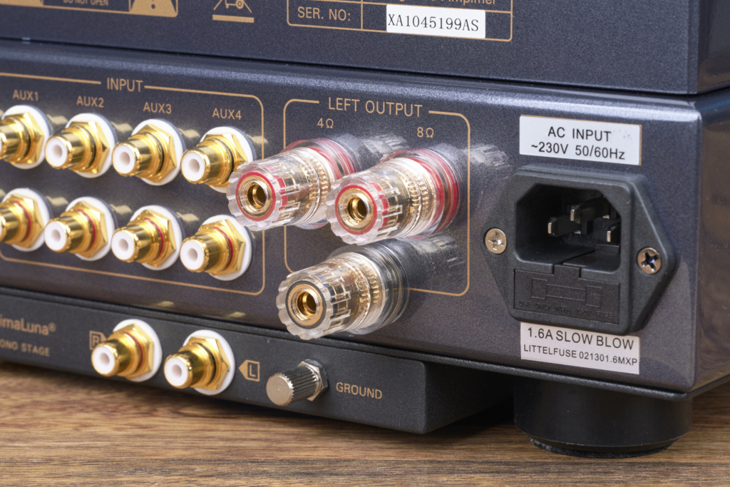 Prima Luna Evo 100 Tube Integrated Amplifier Rückseite Polklemmen