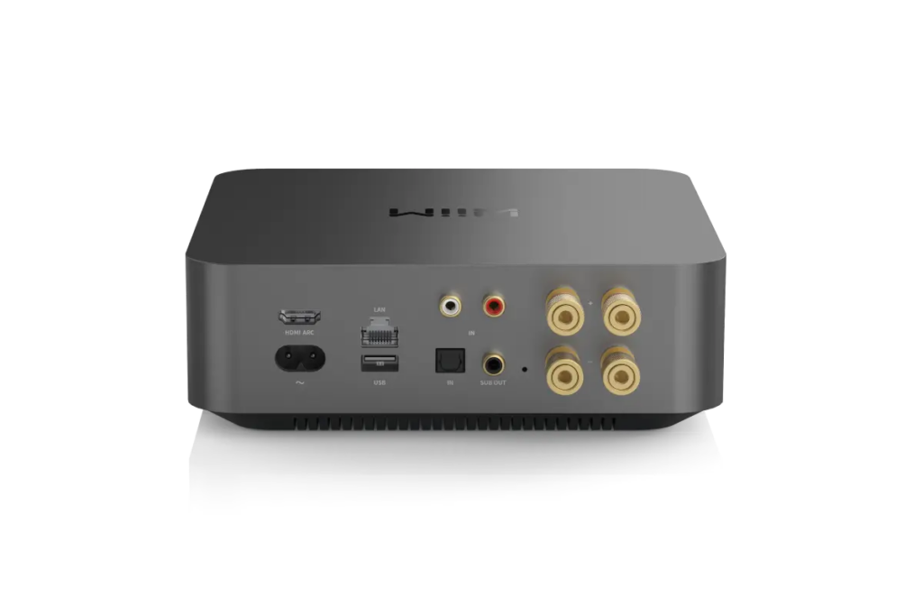 WiiM Amp Pro Rückseite mit Anschlüssen