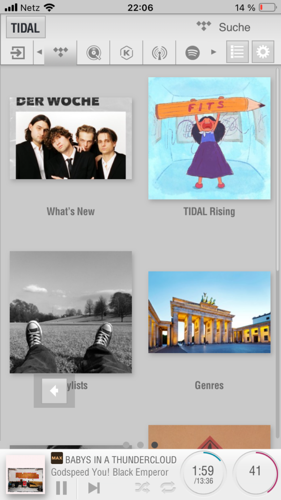 Lumin P1 Mini App Screenshot Tidal Album-Ansicht