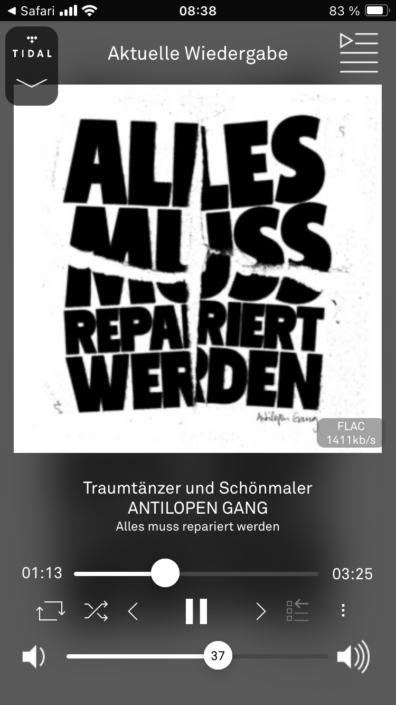 T+A Caruso App Screenshot Wiedergabe