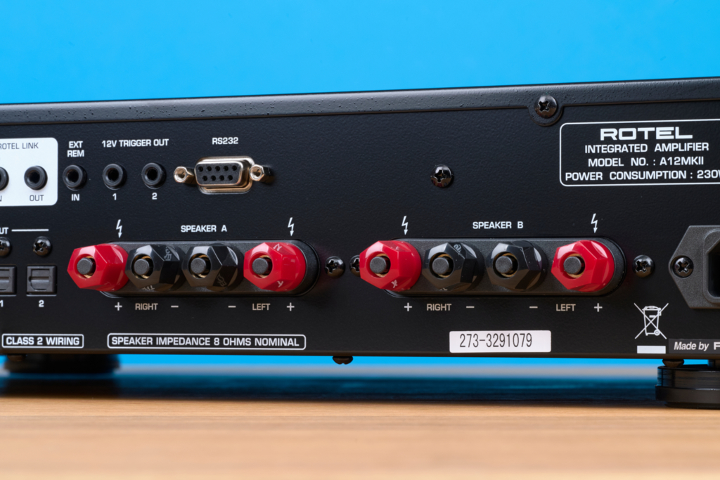Rotel A12 MKII – Polklemmen im Detail