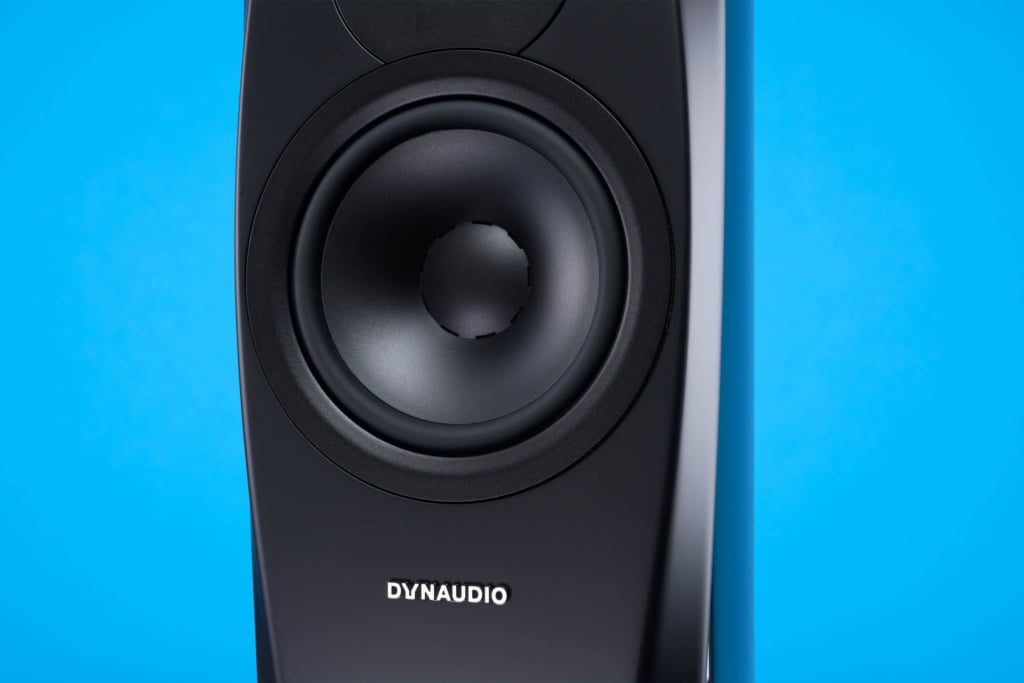 Dynaudio Confidence 20A Tieftöner Detail