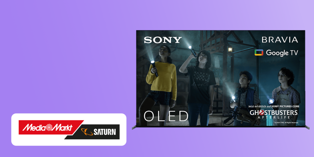 Sony A80L Angebot