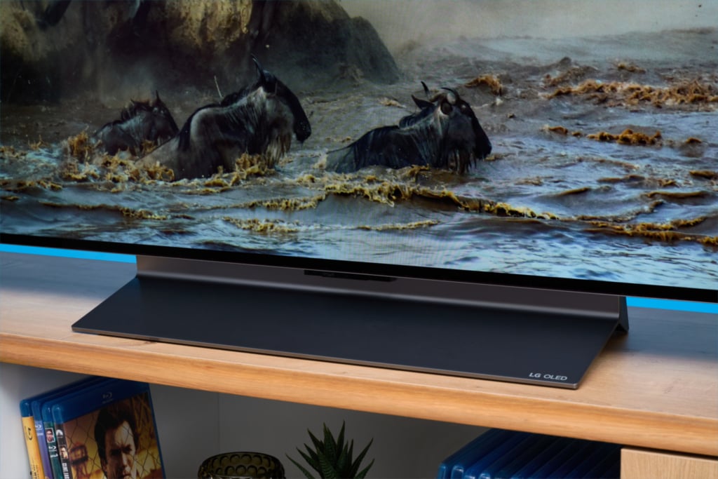Standfuß Detailaufnahme LG OLED C5