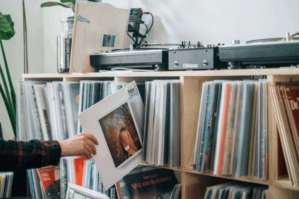 Plattenspieler Nadel austauschen Beispielbild Vinyl Kollektion