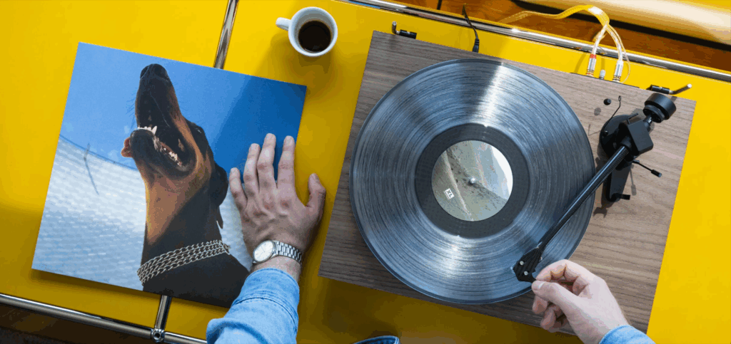 Plattenspieler Nadel austauschen Beispielbild von Pro-Ject
