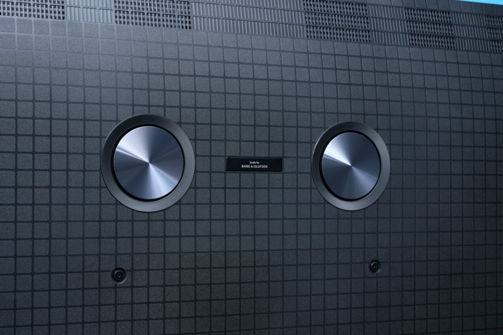 Woofer Gehäuserückseite