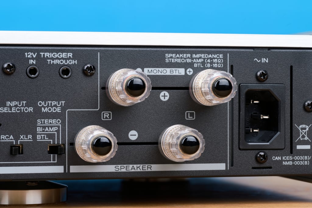Teac AP-507 Polklemmen Detail