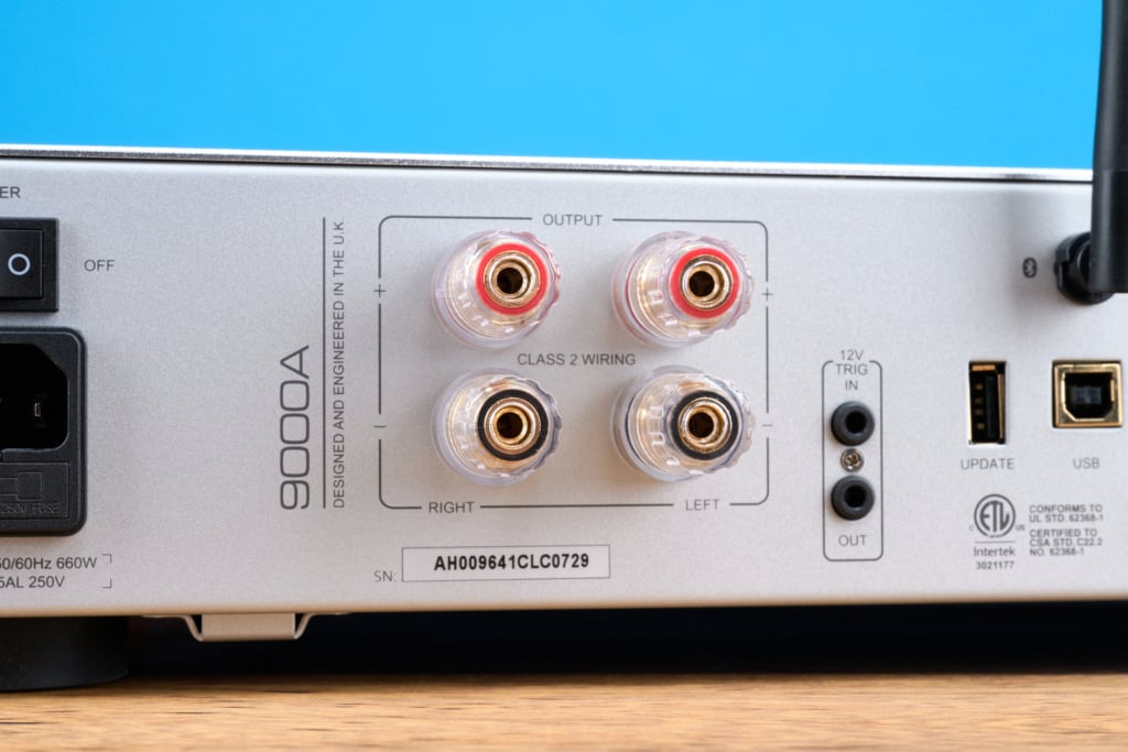 Audiolab 9000A Polklemmen Rückseite Detail