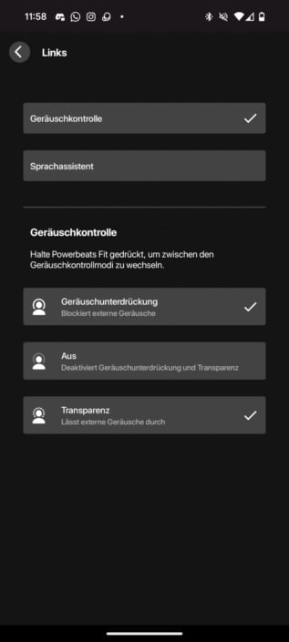 Beats Powerbeats Fit – Screenshot