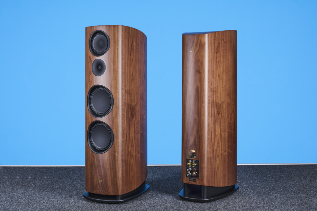 Aktive oder passive Lautsprecher? Canton Reference 2