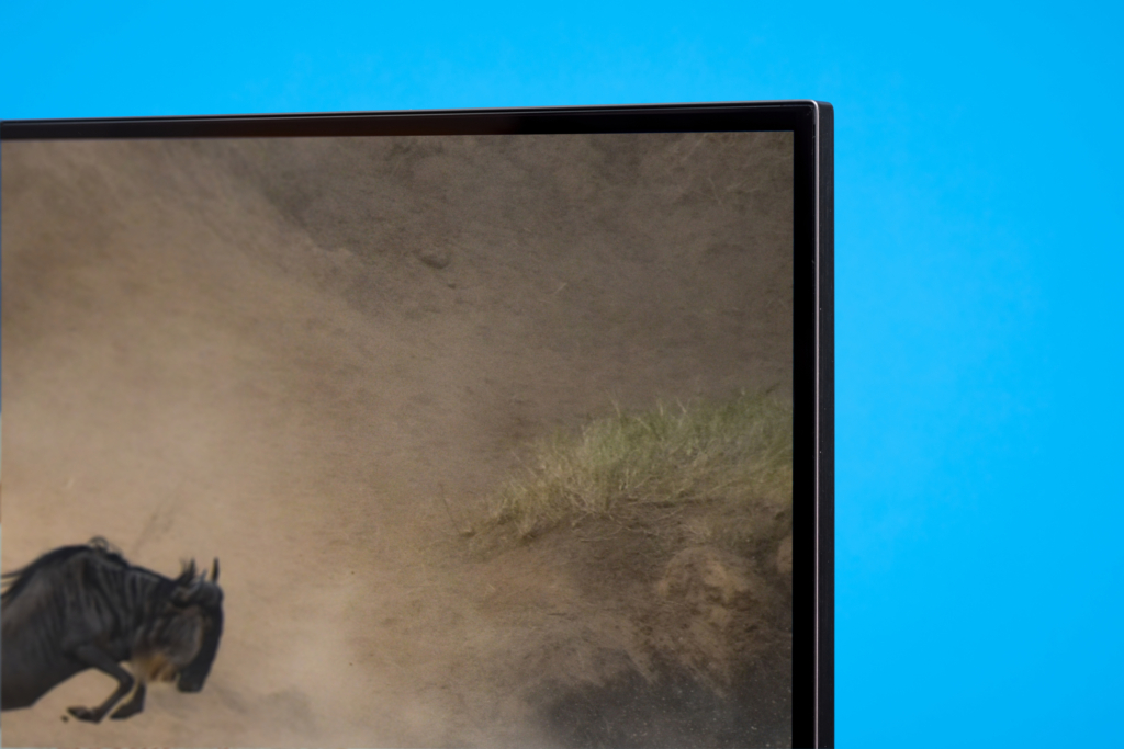 LG OLED C5 Display Detailaufnahme