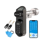WeLock Smart Lock