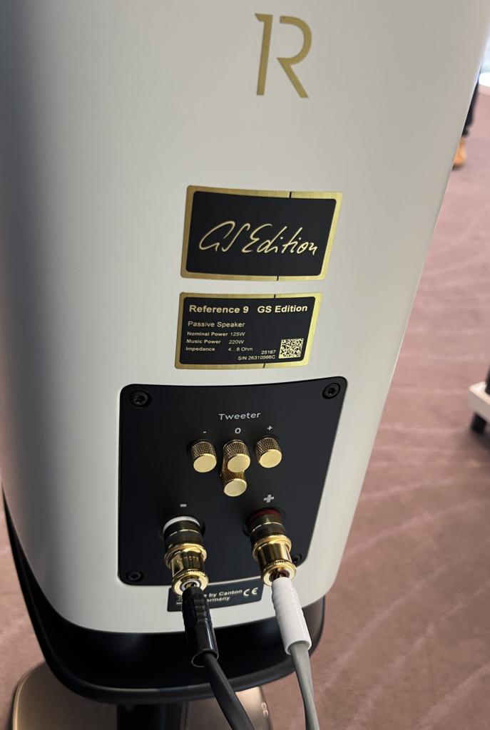 Canton Reference 9 GS Rückseite Anschlüsse