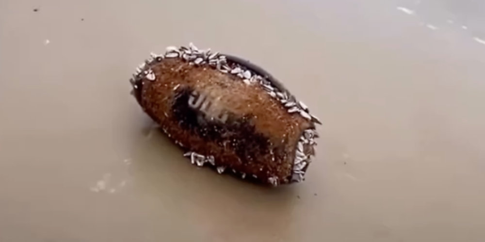 Hat dieser Bluetooth-Speaker von JBL drei Monate lang im Ozean "überlebt"?