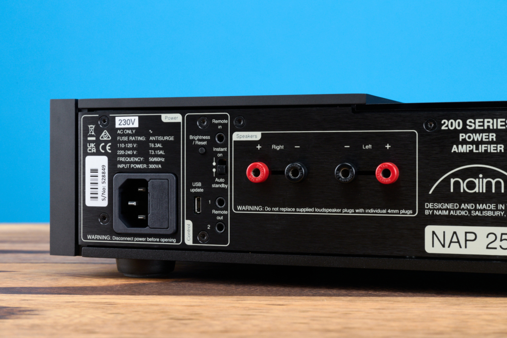 Naim NAP 250 Rückseite Detail Buchsen und Trigger