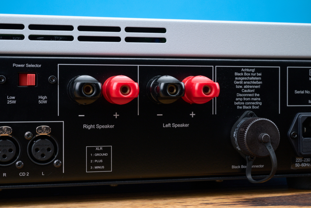 Octave V70 Class A Polklemmen Rückseite Detail