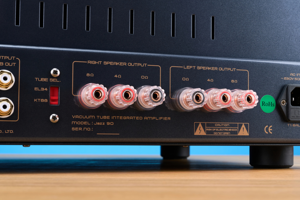 Bester Verstärker für deine Lautsprecher | Cayin Jazz 90 Polklemmen