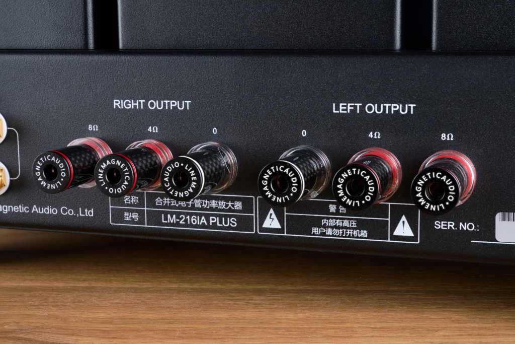 Line Magnetic LM-216IA Plus Polklemmen