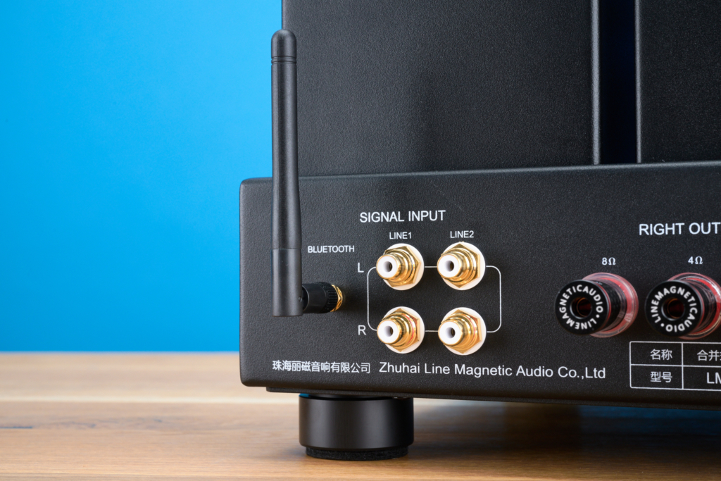 Line Magnetic LM-216IA Plus Detail Eingänge