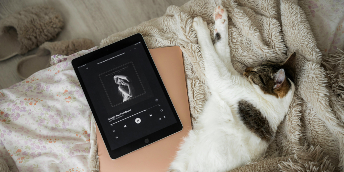 Spotify entspannter nutzen: Bald kannst du alle Videos abschalten.