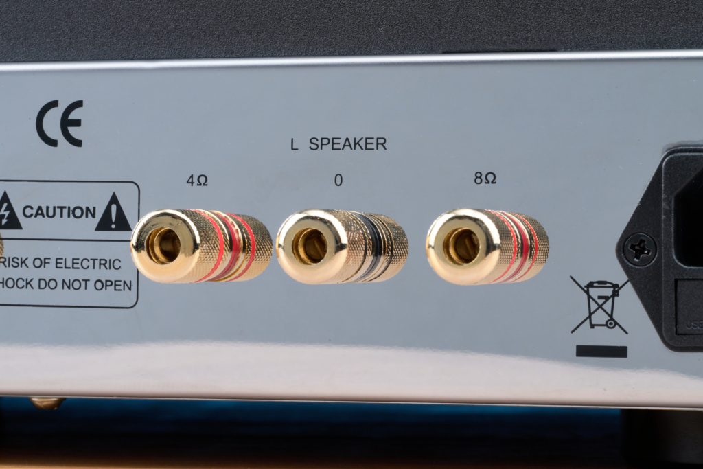 Dynavox VR-70E II Phono Polklemmen Detail