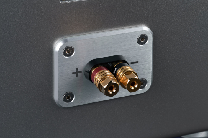 Wilson Audio Sasha V Polklemmen Detail