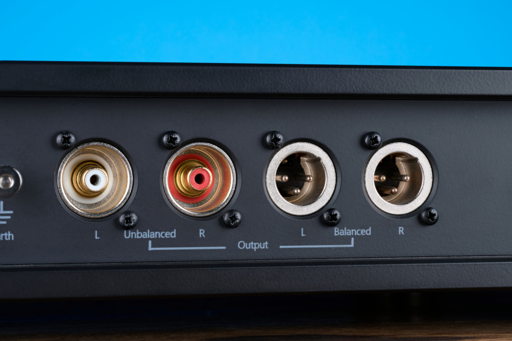 Rega Aura Detail Ausgänge