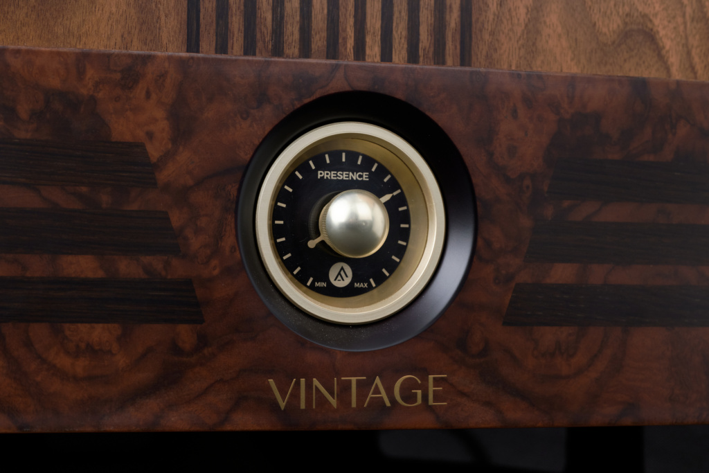 Fyne Audio Vintage 12 Presence-Regler Detail