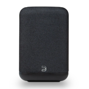 Bluesound Pulse Flex (2025)