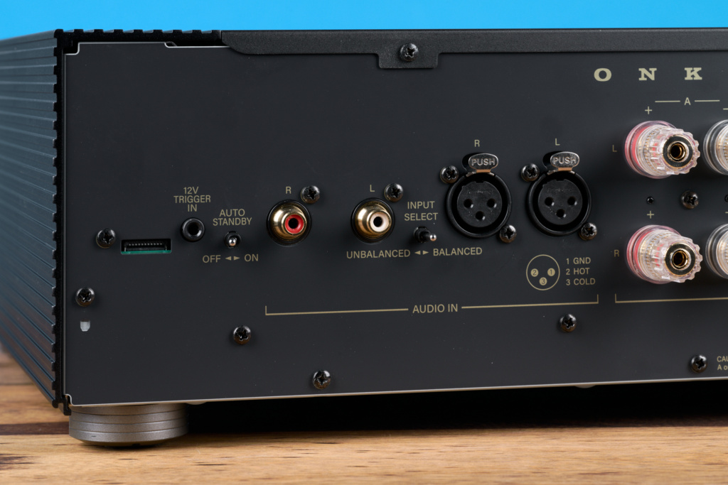 Onkyo M-80 Eingänge Detail