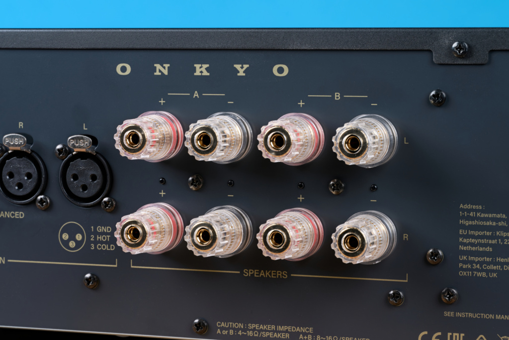 Onkyo M-80 Polklemmen Detail