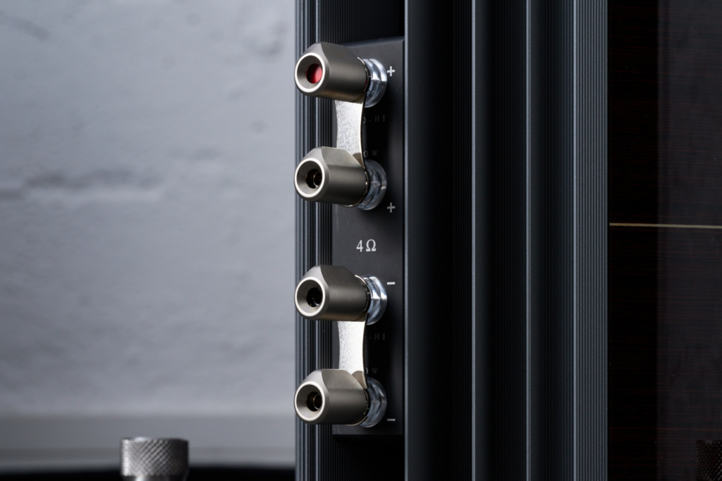 HiFi-Mythen | Sonus Faber Serafino G2 Bi-Wiring-Terminal